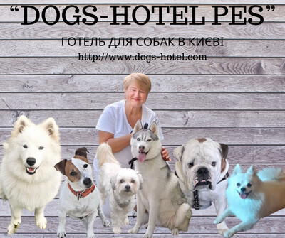 Передержка собак котов в частном доме - отель для животных