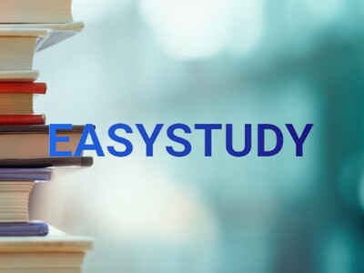 Замовити студентську роботу в EasyStudy Company