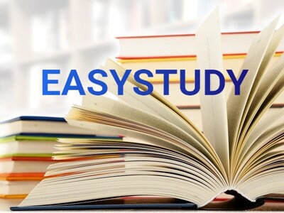 Замовити бакалаврську роботу Easystudy