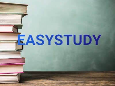 Замовити звіт з практики Easystudy