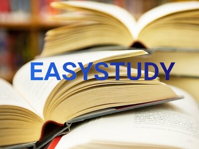 Автор дипломних робіт в EasyStudy Company