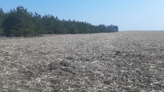 Продам землю сільськогосподарського призначення Бориспільський, Вороньків, Вороньківська с/р