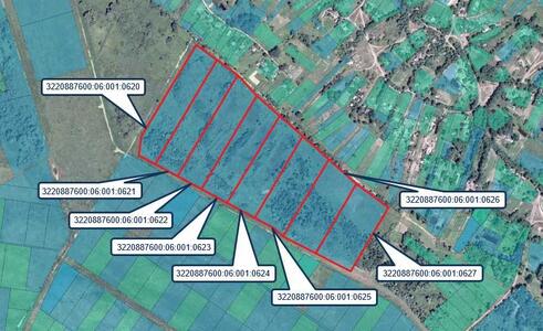 Продам землю сільськогосподарського призначення Бориспільський, Старе, Старівська с/р