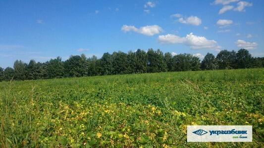 Продам ділянка під житлову забудову Обухівський, Зозулі, нова