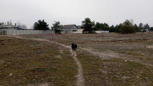 Продам ділянка під житлову забудову Вишгородський, Хотянівка, Баштанна