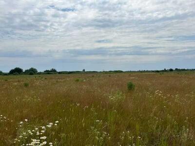 Продам землю сільськогосподарського призначення Бориспільський, Головурів, село Головурів