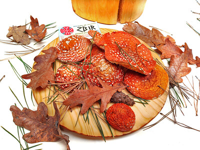 Мухомор ЧЕРВОНИЙ (Amanita Muscaria), сушені капелюшки від ZBIR. Сезон 2024