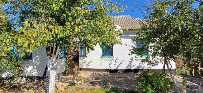 Продам 3-к будинок Обухівський, Велика Вільшанка, Васильківська