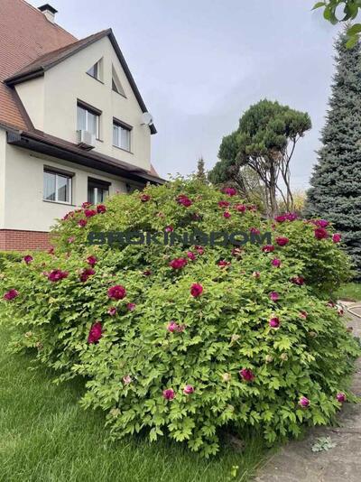 Продам 6-к будинок Бучанський, Крюківщина, Кільцева ул., 12