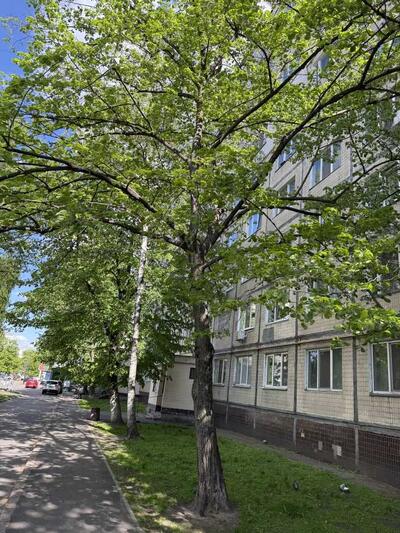 Продам 3-к квартиру Киев, Святошинский, Якуба Коласа ул.