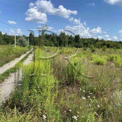 Продам ділянка під житлову забудову Броварський, Залісся, Центральна вулиця 3