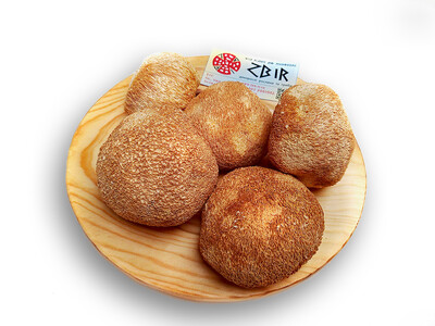 Їжовик Гребінчастий (Hericium erinaceus), цілі плоди