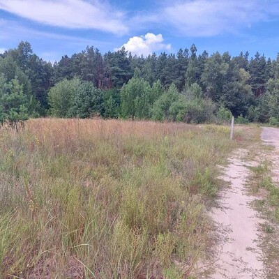 Продам унікальну ділянку біля лісу