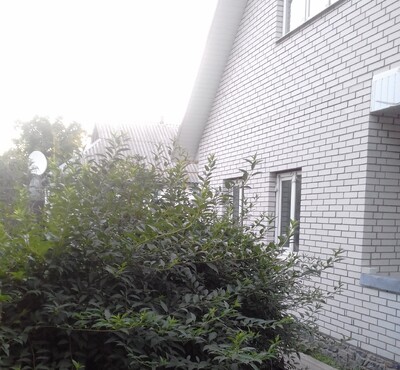 Продам 2 будинки Київська область, с.Бушеве. з виходом на берег річки Рось.