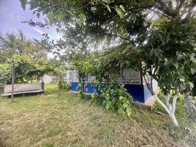 Продаж ділянки  під житлову забудову 0,50 Га (з будинком)в Броварському районі, чорнозем.