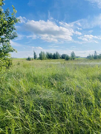 Продажа 17 земельних ділянок (в масиві 2 га) з цільовим призначення для будівництва.