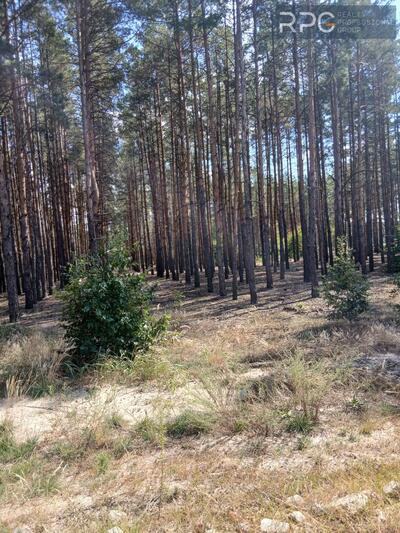 Продаж земельної ділянки Лебедівка Вишгородський