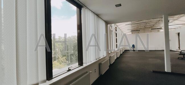 Сдам офисное помещение Київ, Володимирська вул.