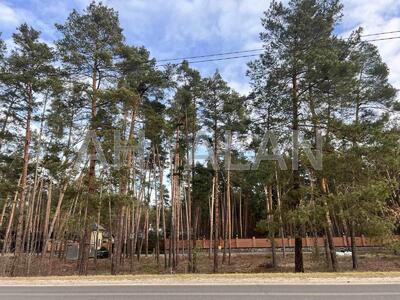 Продам участок под жилую застройку Козин, Обухівське шосе