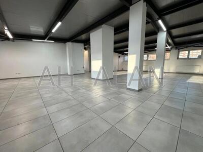 Сдам помещение свободного назначения Київ, Малевича Казимира вул.