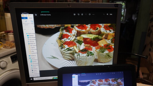 Монітор HP L1950 / 19" (1280x1024) TN