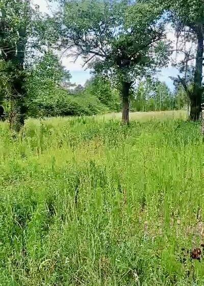 Продам 3-к будинок Вишгородський, Жукин, Коцюбинського, 5