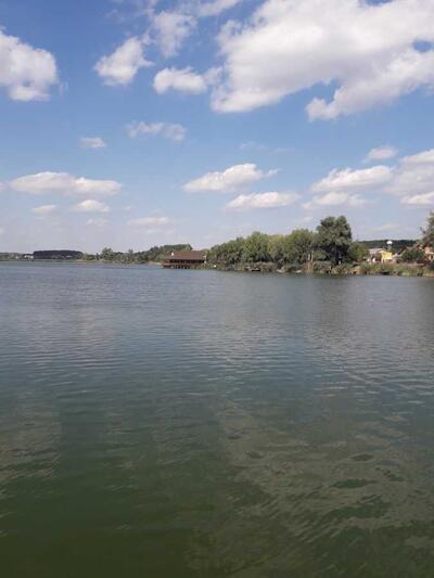 Продам ділянка під житлову забудову Фастівський, Віта-Поштова, Звенигородська