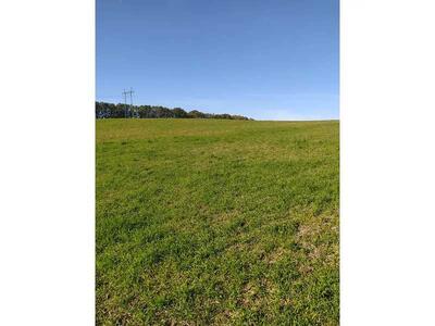 Продам землю сільськогосподарського призначення Обухівський, Підгірці, Нова