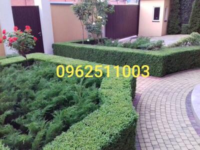 Здам довгостроково 10-к будинок Київ, Печерський, Редутна вул.