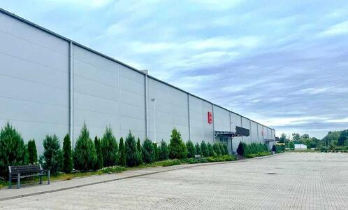 Здам довгостроково складське приміщення Бучанський, Березівка, київська, 1