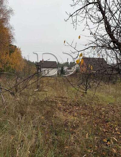 Продам ділянка під житлову забудову Вишгородський, Демидів, СТ Вишеньки