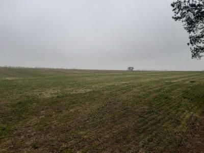 Продам землю сільськогосподарського призначення Бориспільський, Вороньків, Вороньківська с/р