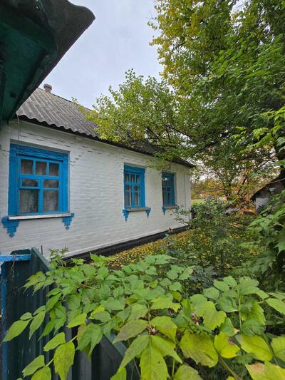 Продам 2-к будинок Білоцерківський, Троїцьке, Централна