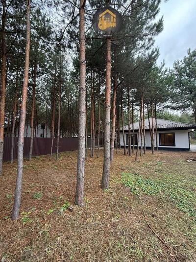 Продам 2-к будинок Бориспільський, Проців, Садова