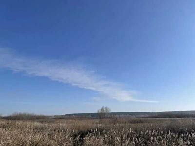 Продам землю сільськогосподарського призначення Броварський, Пухівка, Нова