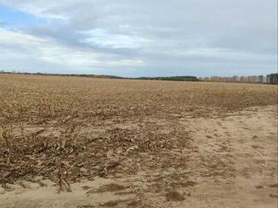 Продам землю сільськогосподарського призначення Бучанський, Наливайківка, нова