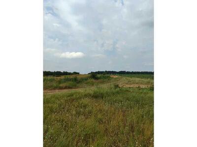 Продам землю сільськогосподарського призначення Бучанський, Луб`янка, Нова