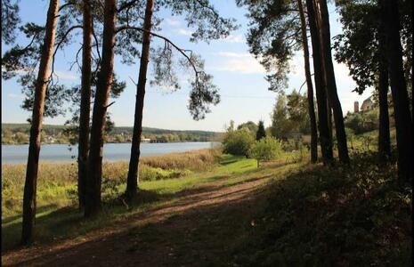 Продам ділянка під житлову забудову Фастівський, Віта-Поштова, Гоголя