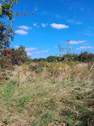 Крюківщина, 10 соток під забудову біля церкви, асфальт, комунікації