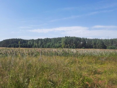 Димер, 24 га, ОСГ. Поруч ліс і вода