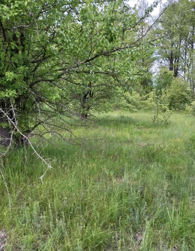 Пірнове, 20 соток для будівництва. Поруч ліс.