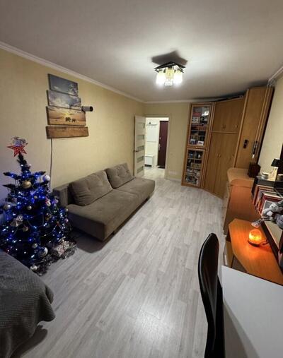 1-кімнатна, Науки просп., 27, Голосіївський