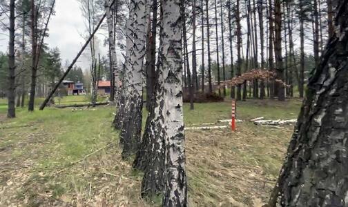 Продам ділянка під житлову забудову Вишгородський, Лебедівка, Сагайдачного вул.