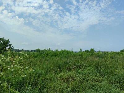 Продам землю сільськогосподарського призначення Бучанський, Озера, Нова