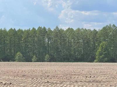 Продам землю сільськогосподарського призначення Бучанський, Мар`янівка, Нова