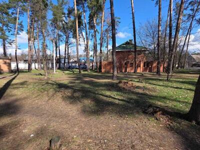 Продам торговая площадь Бучанский, Буча, Гамалия