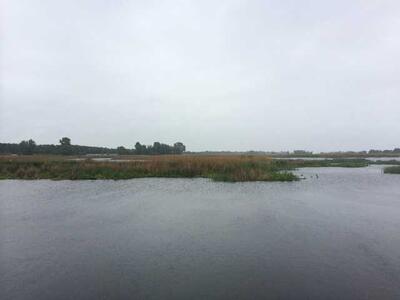 Продам ділянка під житлову забудову Бориспільський, Проців, Центральна