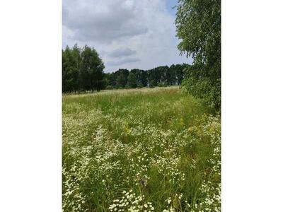 Продам землю сільськогосподарського призначення Бучанський, Луб`янка, Нова