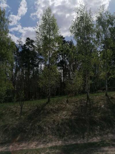 Продам 2-к будинок Білоцерківський, Чернин, Попівка