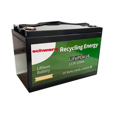 Аккумулятор LiFePo4 (Литий-железо-фосфатный) Schwarz 12V 100Ah BMS + Bluetooth